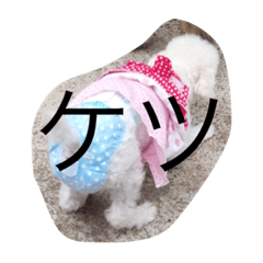 [LINEスタンプ] toy toy