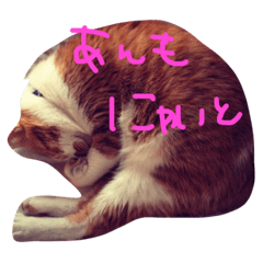 [LINEスタンプ] みいたさま