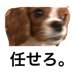 [LINEスタンプ] dande2