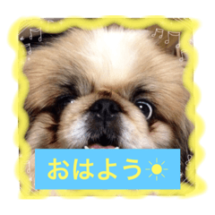 [LINEスタンプ] パティー