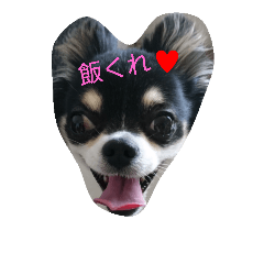 [LINEスタンプ] ティオ君スタンプ