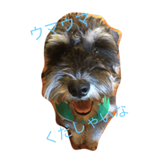 [LINEスタンプ] たへえさん1