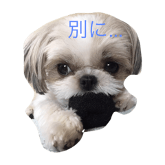 [LINEスタンプ] るぷ