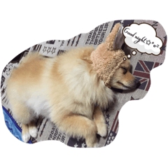 [LINEスタンプ] あいさつ日常