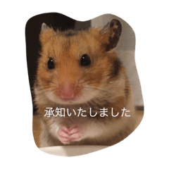 [LINEスタンプ] ハムスターマロンの日常