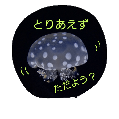 [LINEスタンプ] ただようクラゲのきもち