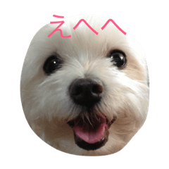 [LINEスタンプ] まるちーーず