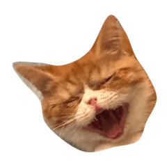 [LINEスタンプ] ぐりぐりお