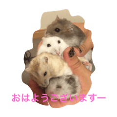 [LINEスタンプ] はむちゃんずと仲間たち