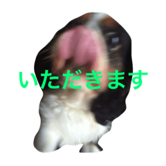 [LINEスタンプ] おはなたべます