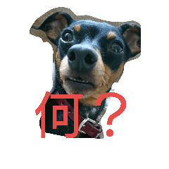 [LINEスタンプ] 神、降臨(笑)