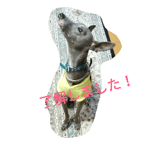 [LINEスタンプ] ぐれです。