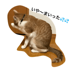 [LINEスタンプ] ちくわさん