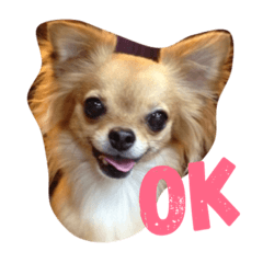 [LINEスタンプ] ワチチ