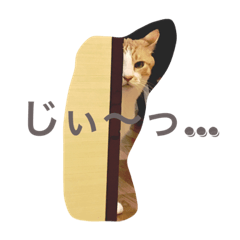 [LINEスタンプ] ぼくチャーちゃん