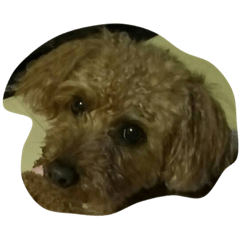 [LINEスタンプ] タックン
