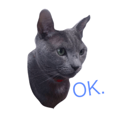 [LINEスタンプ] マルとアレック