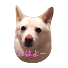 [LINEスタンプ] カレンの愉快な一日