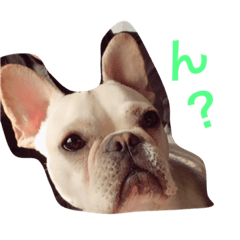 [LINEスタンプ] ももちゃんのスタンプ