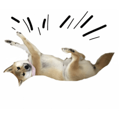 [LINEスタンプ] ゆずぽん48