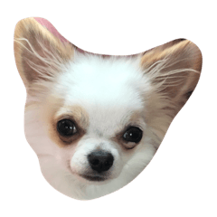 [LINEスタンプ] 夢乃たん