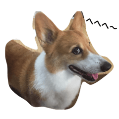 [LINEスタンプ] RICKY1