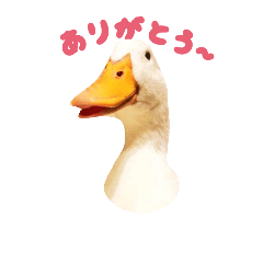 [LINEスタンプ] 今日のうーちゃん
