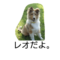 [LINEスタンプ] レオだよ。