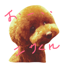 [LINEスタンプ] 自由気ままなワンコ生活