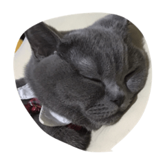 [LINEスタンプ] ルビちゃん寝顔