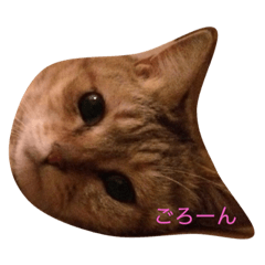 [LINEスタンプ] じっくんの日常