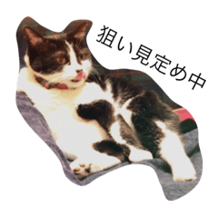 [LINEスタンプ] たびっくす