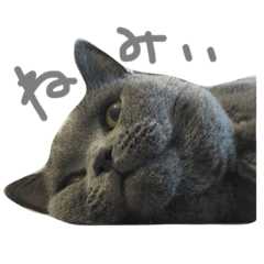 [LINEスタンプ] まるさん 壱