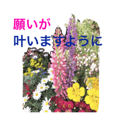 [LINEスタンプ] 幸せな花