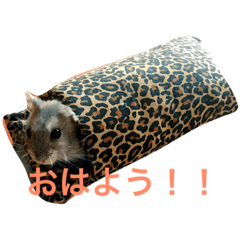 [LINEスタンプ] はむちゃんずと仲間たち2