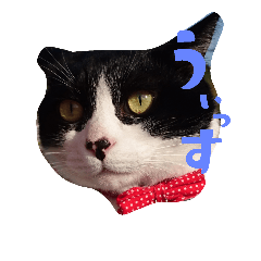 [LINEスタンプ] しろくろの一生