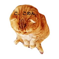 [LINEスタンプ] 凛のきもち