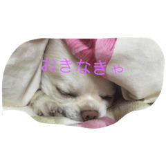 [LINEスタンプ] leone