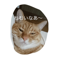 [LINEスタンプ] チャーリー スタンプ