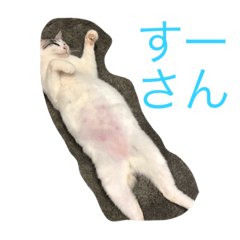 [LINEスタンプ] すーーさん