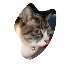 [LINEスタンプ] えんがわ