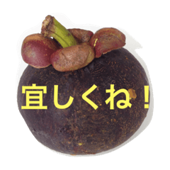 [LINEスタンプ] 宜しくお願いシリーズ