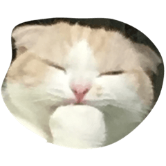 [LINEスタンプ] みぞれスタンプ