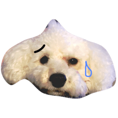 [LINEスタンプ] HE name LUANA