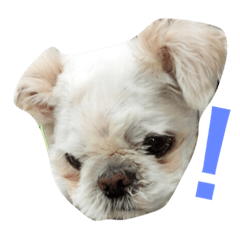 [LINEスタンプ] たくちゃん
