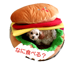 [LINEスタンプ] りっちちょこぱん