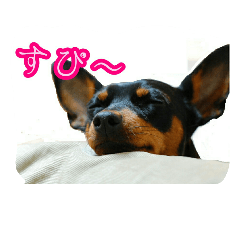 [LINEスタンプ] わらわはLottiなのじゃ
