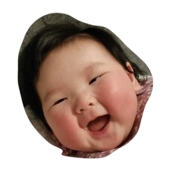 [LINEスタンプ] 毎日みこちゃん
