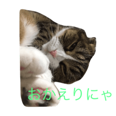 [LINEスタンプ] しゃんぷ〜