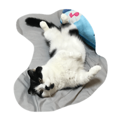 [LINEスタンプ] 人形⁉︎